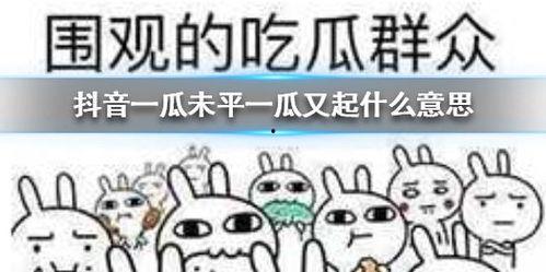 抖音传奇吃瓜,揭秘网红背后的故事