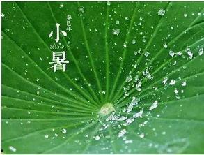 夏天吃瓜的古诗,古韵诗中的消暑美味