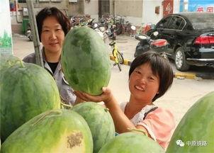 吉林小区吃瓜,揭秘邻里纷争背后的真相