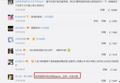 考研定律吃瓜,吃瓜群众的智慧指南