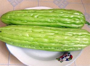 凉瓜可以每天吃吗,健康生活的绿色选择