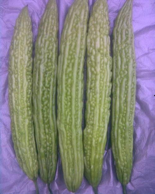 凉瓜可以每天吃吗,健康生活的绿色选择