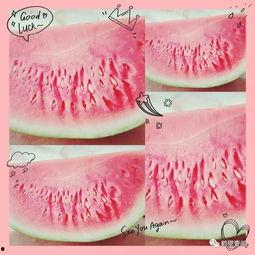 鹤壁吃瓜事件,网络舆论的风暴与反思