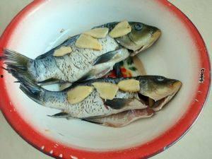 什么鱼吃瓜博主,揭秘吃瓜博主背后的趣味生态