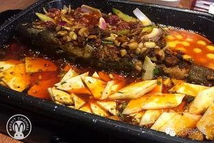 什么鱼吃瓜博主,揭秘吃瓜博主背后的趣味生态