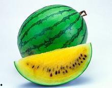 格列美和双瓜能一起吃吗,格列美与双瓜同服的安全性探讨