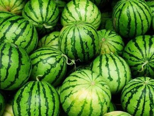 瓜不保熟你吃吗,敢尝否？揭秘食品安全与冒险品尝的边界