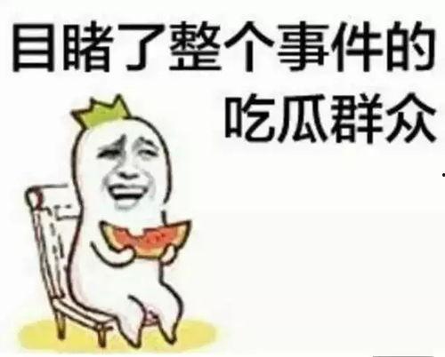 嗨斗吃瓜群众,揭秘网络热议背后的真相与笑料