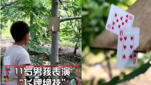 吃瓜扑克牌,揭秘娱乐圈背后的秘密与真相