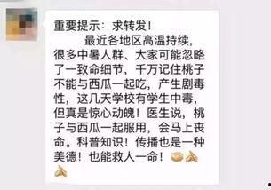 吃瓜吃桃说说句子,吃瓜吃桃的悠闲时光