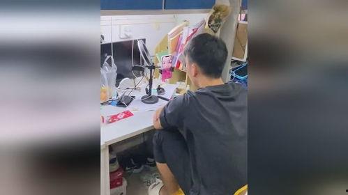 宿舍拍视频吃瓜,揭秘宿舍里的那些“吃瓜”瞬间