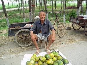 农村吃瓜博主,揭秘乡村生活趣味与智慧