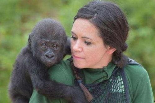 女子吃瓜变成猩猩,竟变身成为猩猩之谜
