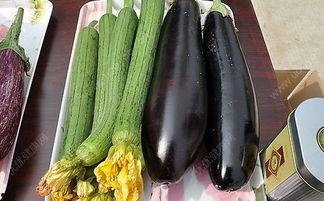 茄子与水瓜能一起吃吗,能否同食？
