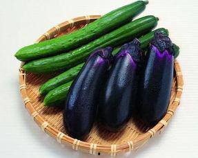 茄子与水瓜能一起吃吗,能否同食？