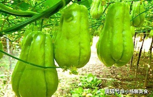 岁未吃瓜,盘点年度娱乐圈大事件