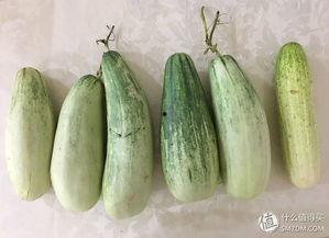 假装让别人吃瓜,跟随“吃瓜群众”探寻明星幕后故事