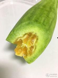 假装让别人吃瓜,跟随“吃瓜群众”探寻明星幕后故事