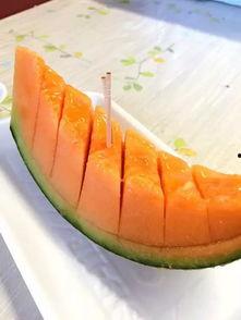 吃瓜六块,网络热词背后的文化现象