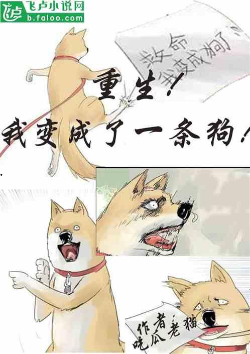 懒散吃瓜小说,揭秘小说中的轻松生活态度