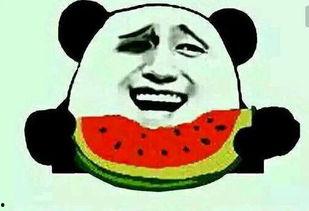 吃瓜群众秀恩爱