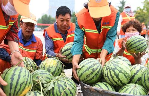 夏至请工人吃瓜,共享瓜果，共庆丰收时节