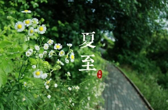 夏至请工人吃瓜,共享瓜果，共庆丰收时节