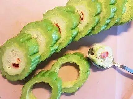 瓜老是被果蝇吃,自然界的奇妙循环