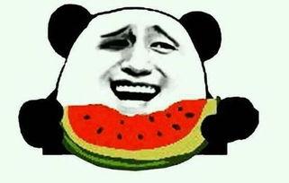 吃瓜带飞,揭秘娱乐圈幕后故事