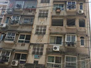 庄寨吃瓜小区,揭秘社区里的欢乐时光