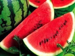 我们准备吃瓜了,跟随“准备吃瓜了”感受清凉一夏