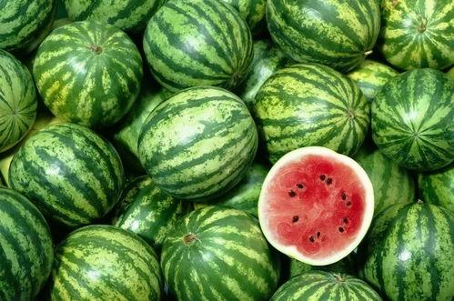 单挑吃瓜,揭秘网络红人间的趣味对决