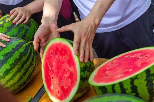 全学校吃瓜,揭秘全学校的热辣八卦风云