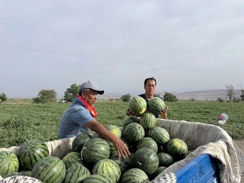 天天活在吃瓜,揭秘娱乐圈那些事儿