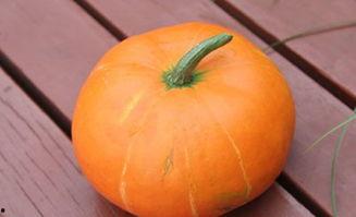 吃瓜应用功能,轻松掌握娱乐圈动态，畅享娱乐资讯盛宴