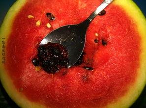 带你吃瓜奇葩设计10,十大令人叹为观止的奇葩设计