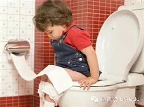 吃瓜拉屎不红,探寻健康生活的秘密