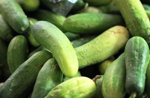 天天有瓜吃天天吃大瓜,大瓜盛宴时