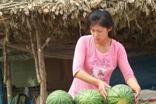 农村吃瓜女子,农村吃瓜女子的生活点滴