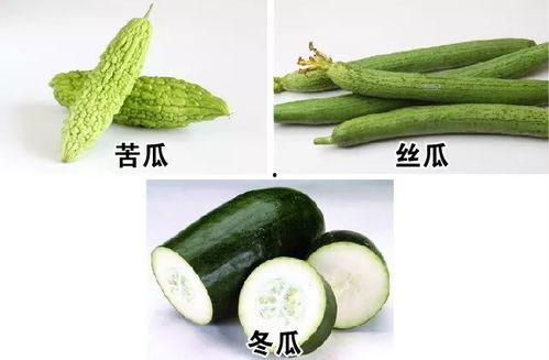 入伏吃那三瓜,清凉一夏养生秘籍