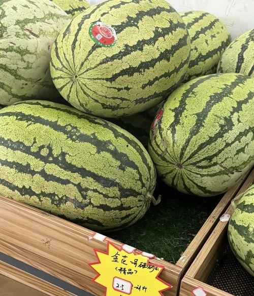 三号门吃瓜,揭秘校园里的神秘事件