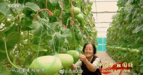 郁离吃瓜,揭秘娱乐圈背后的秘密与真相