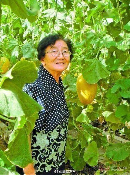 郁离吃瓜,揭秘娱乐圈背后的秘密与真相