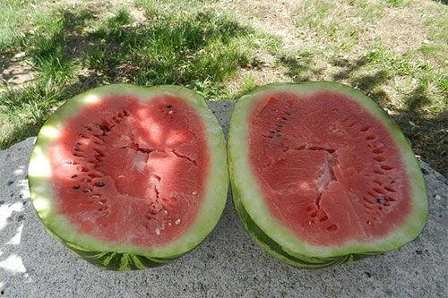 梦见吃瓜捡瓜,瓜果飘香，梦境中的甜蜜收获