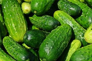 梦见吃瓜捡瓜,瓜果飘香，梦境中的甜蜜收获