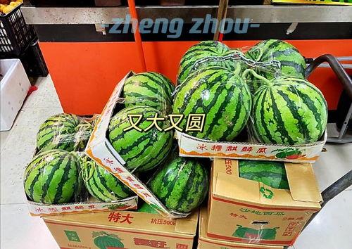 郑州学校吃瓜群,揭秘校园生活幕后趣闻