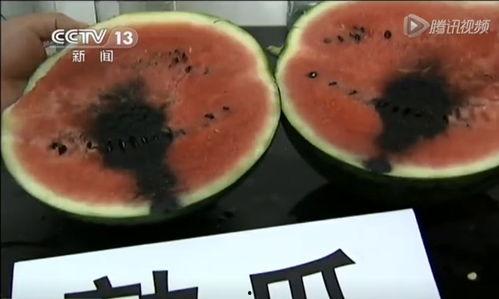 无唇吃瓜的视频,揭秘网络红人的独特魅力