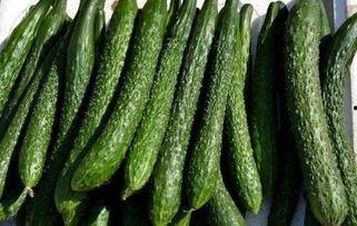 都说吃瓜能减肥,揭秘瓜果中的瘦身秘密