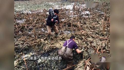 雷山吃瓜事件视频,一场引发热议的网络狂欢