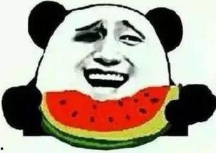 雨涵吃瓜群众,揭秘娱乐圈幕后故事